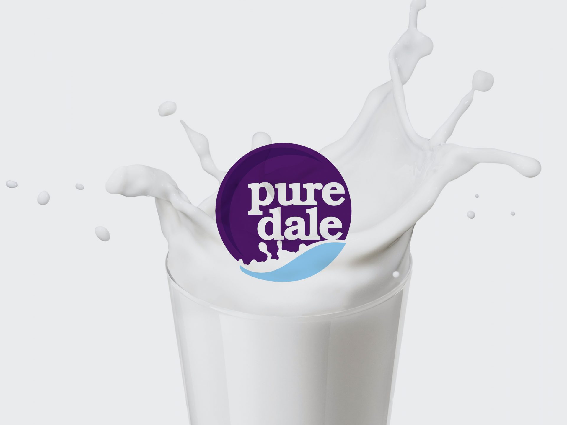 branding and design projects